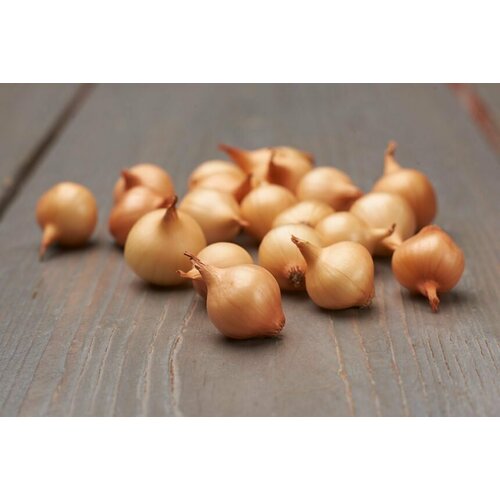   -    (-) 110 ,   486 