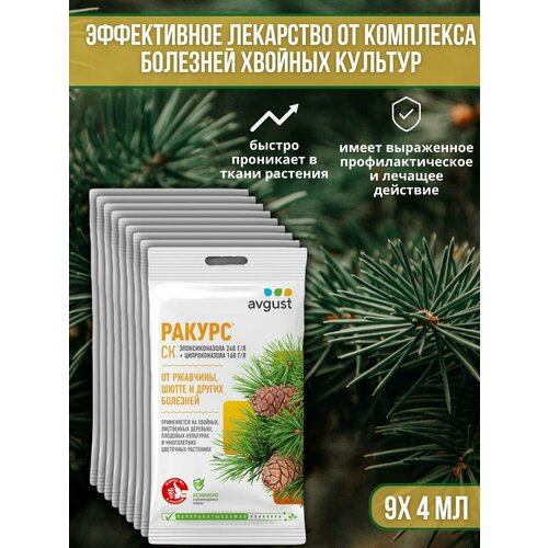 ���� �������� �� �������� ������� ��������, ��������� ��� ������ � �����, ��������� ������ 4 �� 9 ��, ������ �� 1299 ���