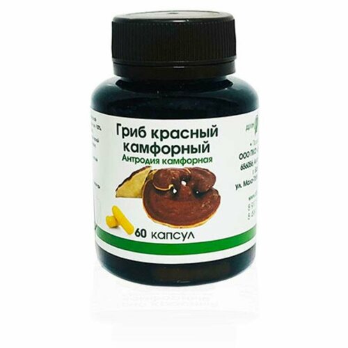 ���� ������� ��������� ���� (�������� ���������) � �������� 60 ��, ������ �� 1300 ���