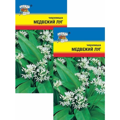 ���� ������� �������� ��� (0,2 �), 2 ������, ������ �� 279 ���