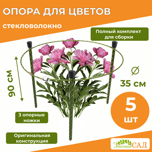 ���� ����� ��� ������ /��������������/ 