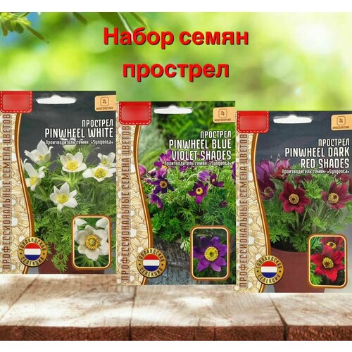 ���� ������ ����������� ������ ��� ���� � ���� �������� 3 ��., ������ �� 315 ���