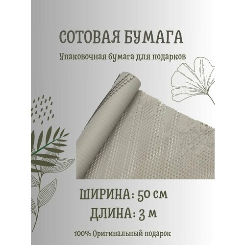 ���� ������� ����������� ������ 50 �� � 3 �, �����, ������ �� 589 ���