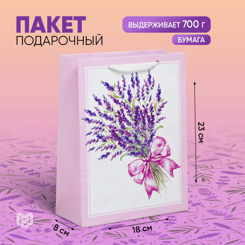 ���� ����� ���������� ������, 18 ? 23 ? 8 ��, ������ �� 176 ���