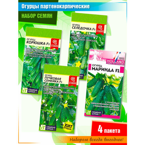 ���� ����� ������������������ ������� �� ������ ����� (4 �����), ������ �� 575 ���