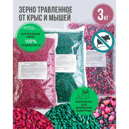 ���� �������� �������� �� ���� � �����, ������ �� �������� ��� ��� 3 ��, ������ �� 515 ���