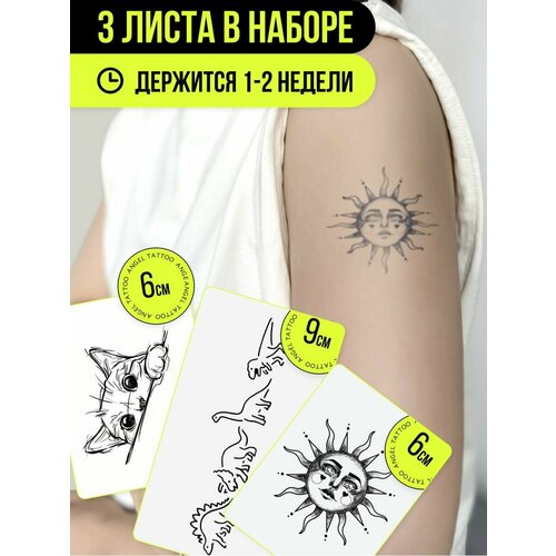 ���� ���� ���������� ��������������, ������ �� 450 ���