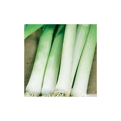 ���� ������������� ������ ���� ����� �����, ������ �� 102 ���