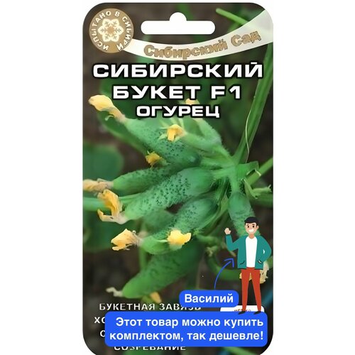 ���� ������ ������ ��������� ��� 