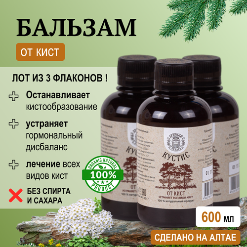 ���� ����� 