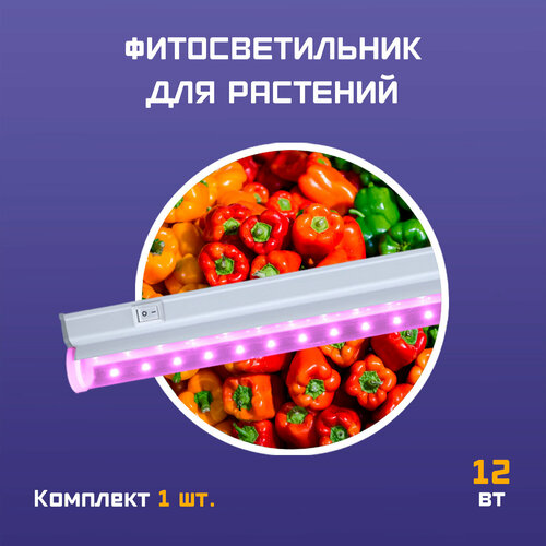     // / -  ( ) 12  600,   607 