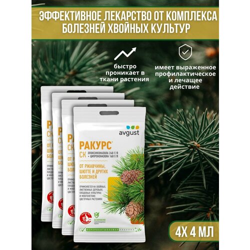 ���� �������� �� �������� ������� ��������, ��������� ��� ������ � �����, ��������� ������ 4 �� 4 ��, ������ �� 739 ���