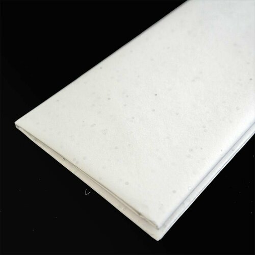 ���� ������ ����������� ����� ����� � ���������; 10 ������ 50*66 ��, ������ �� 262 ���