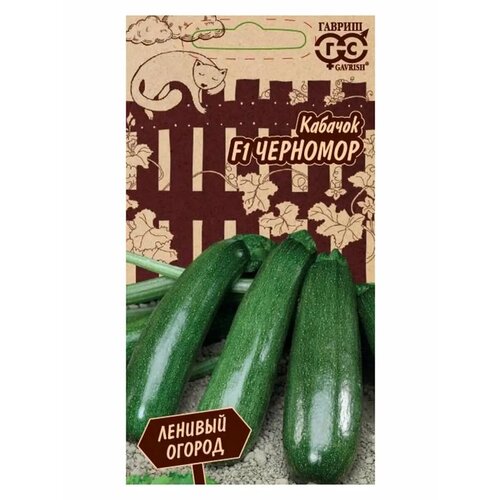 ���� ������� 