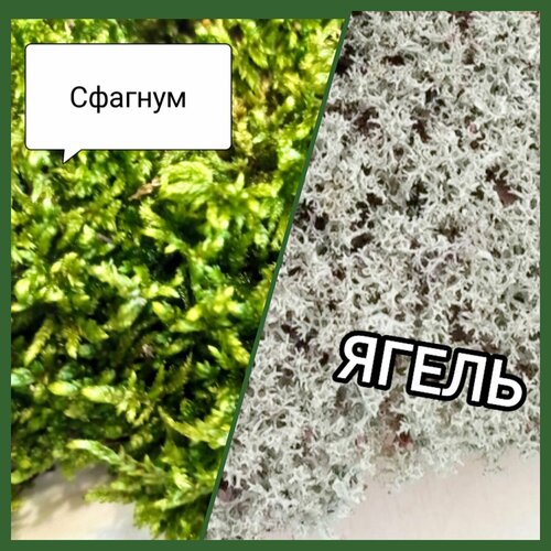 ���� 2 ���� ���. ����� + �������. �����������. ������., ������ �� 899 ���