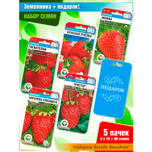 ���� ����� ����� ��������� �� ���������� ���� (5 ����� + �������!), ������ �� 385 ���