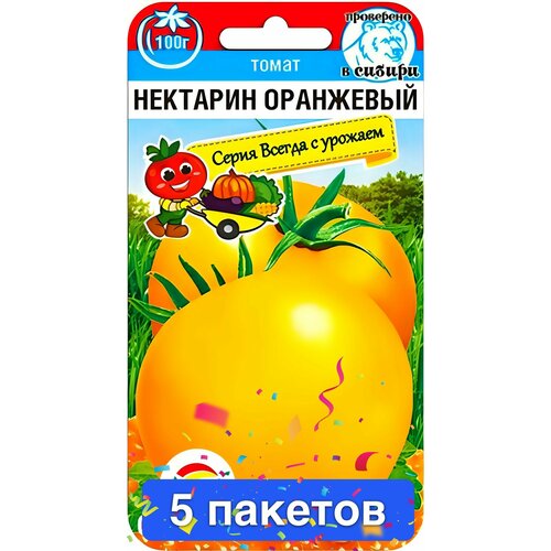 ���� ������ ������ ��������� ��� 