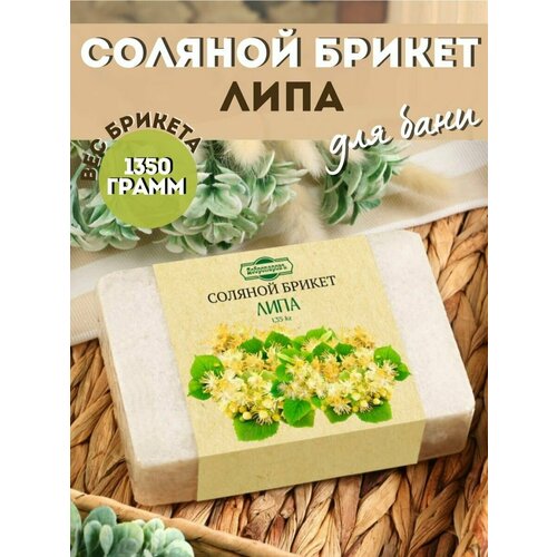 ���� ������� ������ ��� ���� � �����, ������ �� 415 ���