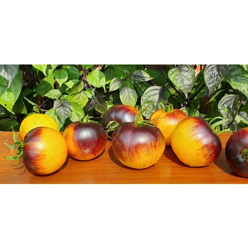 ���� ������ ������ ����������� ���� (Ussuri Tiger) / Seeds And Goods / � �������� zip-lock ��� ���������� 10 �����, ������ �� 249 ���