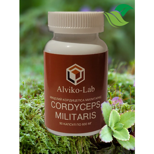 ���� ��������� ������� ����� � ��������/ ������� ������� ��� ���������� ���������� � ��������� ������ -90 ��, 600��, ������ �� 684 ���