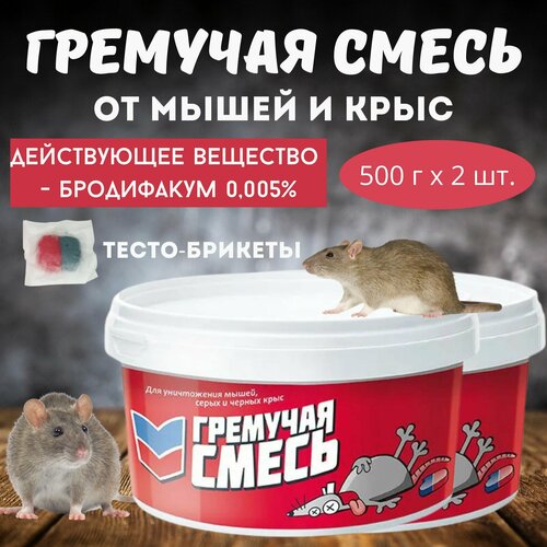 ���� �������� ��� ����������� ����� � ���� �������� �����, ���� �����-�������, 2 ��. * 500 �, ������ �� 843 ���