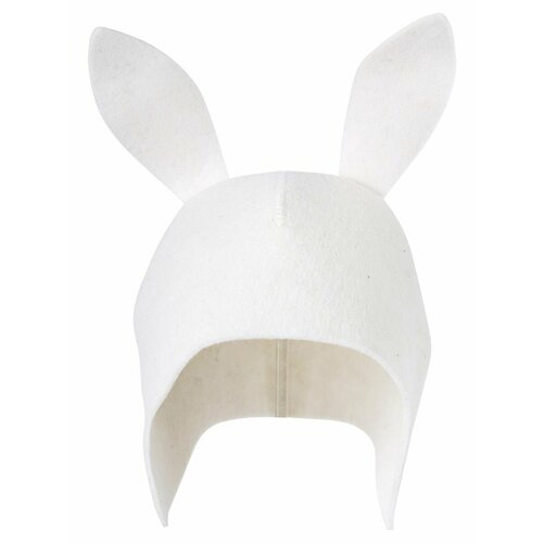 ���� ����� ������ 