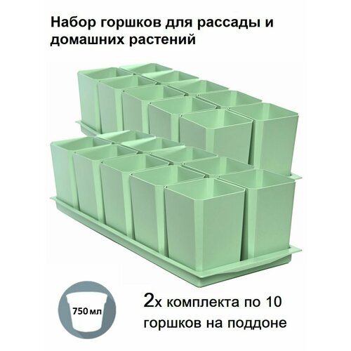      ,   20   2  , ,   1479 