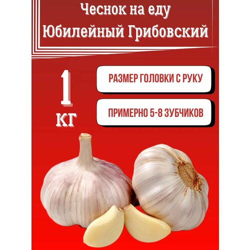 ���� ������ ��� ��� ������., ������ �� 1000 ���