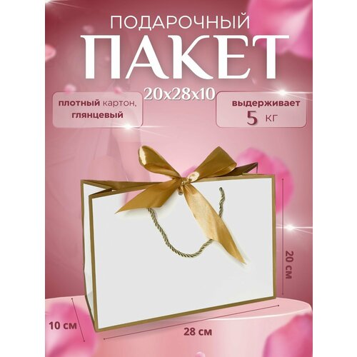 ���� ���������� ����� � ���� �������� � ������ �������� 20�28�10 �������, ������ �� 275 ���