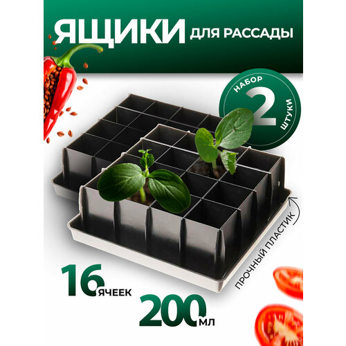 ���� ���� ��� ������� � �������� ��������� 16 ������ 0,2� 2 ��, ������ �� 990 ���