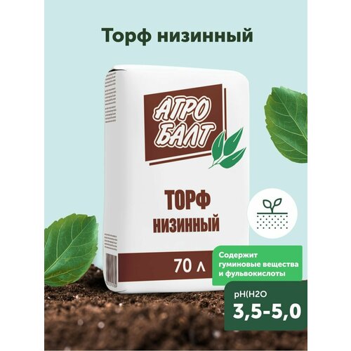 ���� ���� ��� �������� 