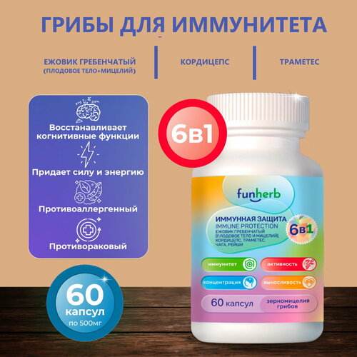 ���� ���� ������ ��� ���������� - ������, ���������, ��������, ����, �����, ������ �� 854 ���