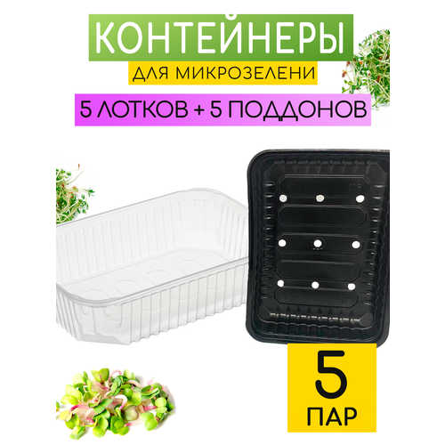 ���� ������� ����� ��� ����������� ����������� � �������, ������ �� 325 ���