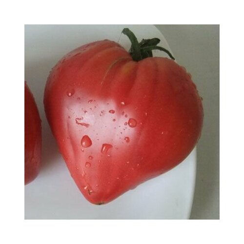 ���� ������������� ������ ������ ���������� �������� ������ �������, ������ �� 127 ���