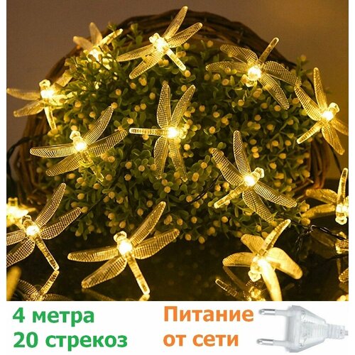 ���� �������� ������������� �������� 4 �����, ������ �� 635 ���