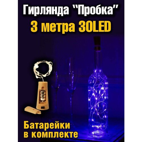 ���� ��������