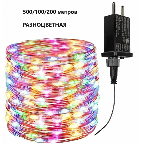 ���� �������� ����������� 