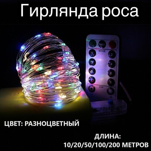 ���� �������� ����������� 