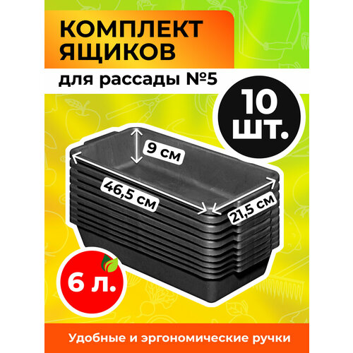 ���� ���� ��� ������� 