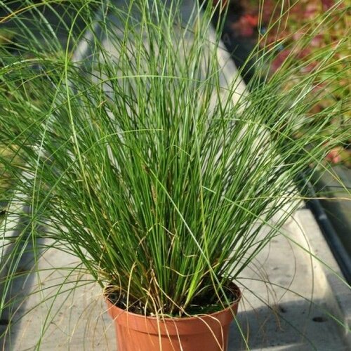     ,     ,  3   15-21 , 3 ,   312 