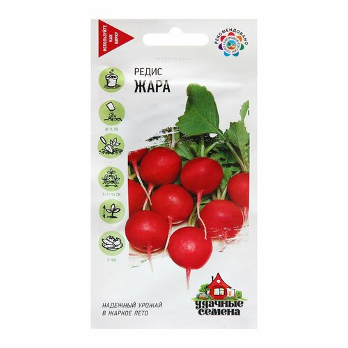 ���� ������ ����� 