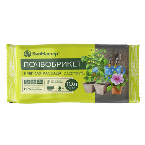 ���� ����������� ������� �������, 10� - ���������, ������ �� 429 ���