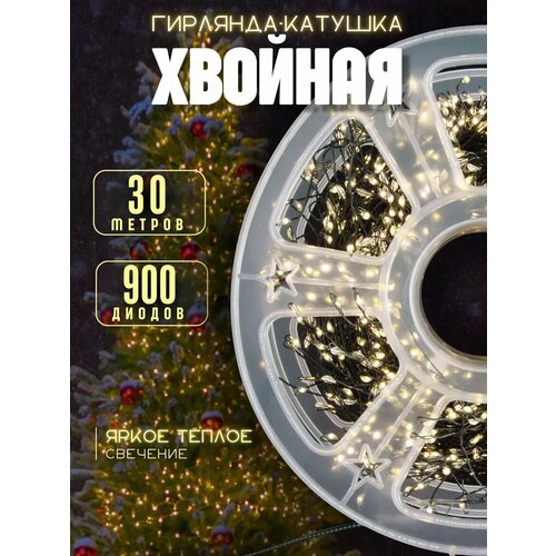 ���� ������� 