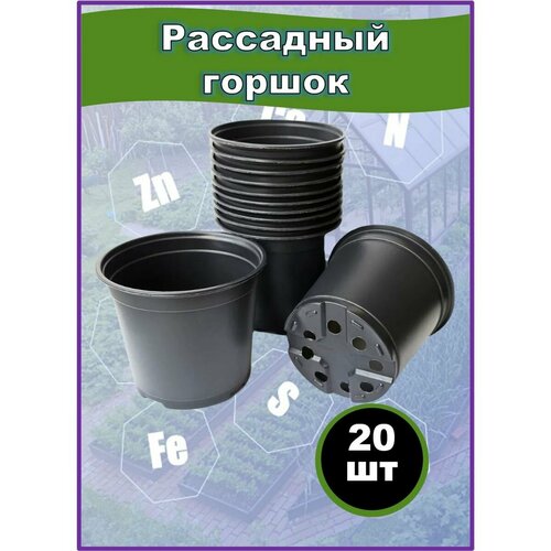 ���� ������ ��������� �������, ����������� 1�, 20��, ������ �� 458 ���