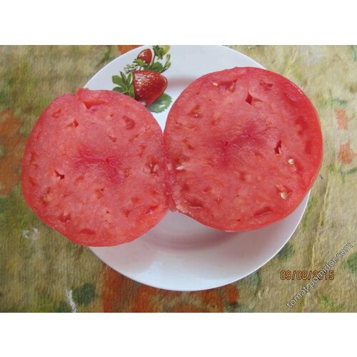 ���� ������������� ������ ������ ����� ������ ���������� � ���������� � 2009 ����, ������ �� 104 ���