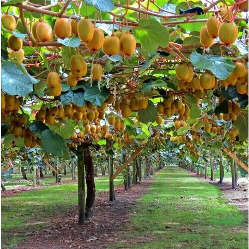 ���� ������ ���� ��������� ��������� 10 ����, ������ �� 349 ���