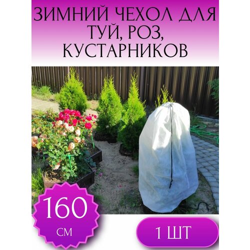 ���� ������ ����� �� �������� ��� ��� � �������������, ��� ���, ��� ������ � �������� ������ 160*80 ��, 1 ��., ������ �� 390 ���