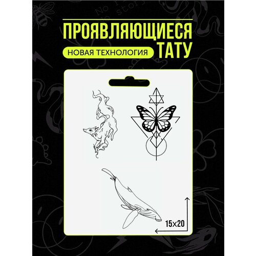 ���� ���� ���������� �������������� ��������, ������ �� 411 ���