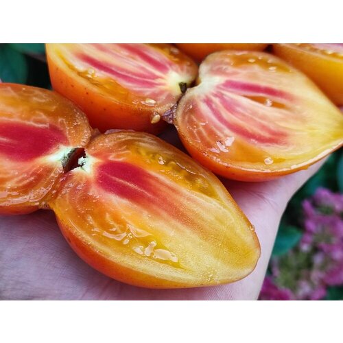 ���� ������������� ������ ������ ������� ������ �������, ������ �� 104 ���