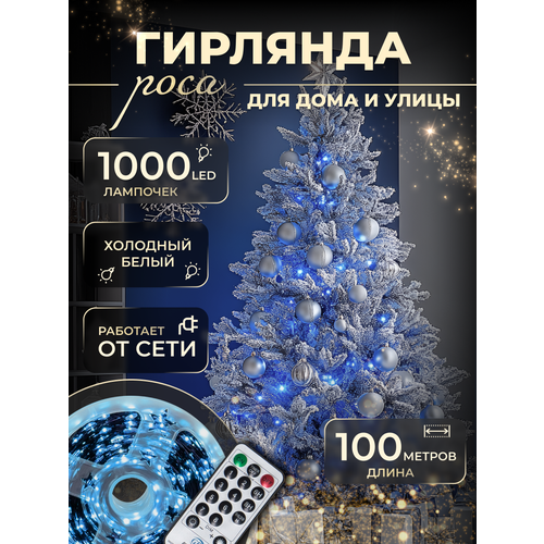 ���� �������� 